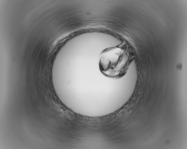 X0000089950920200707271836