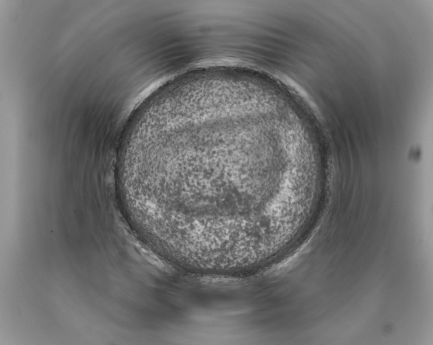 X0000089950921200707271836