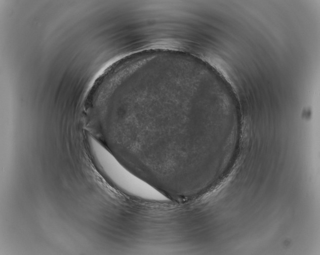 X0000089950923200707271836