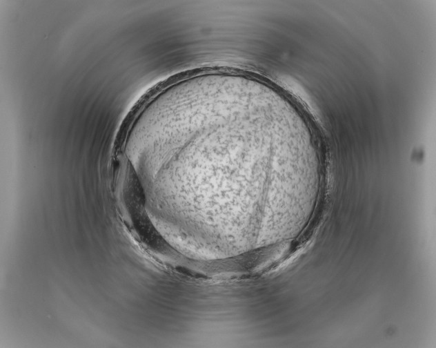 X0000089950924200707271836