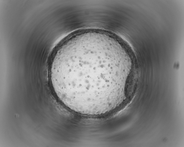 X0000089950925200707271836