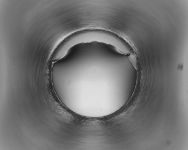 X0000089950926200707271836