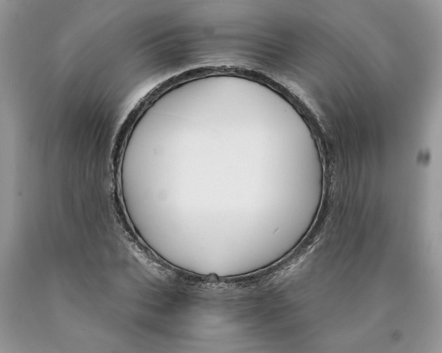 X0000089950927200707271836