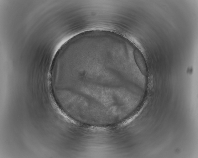 X0000089950928200707271836