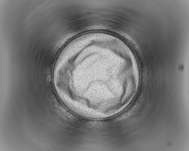 X0000089950929200707271837