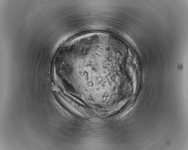 X0000089950930200707271837