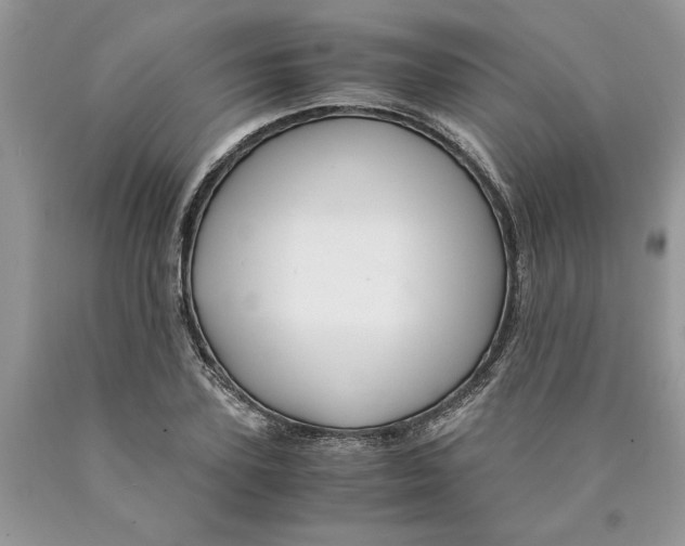 X0000089950931200707271837