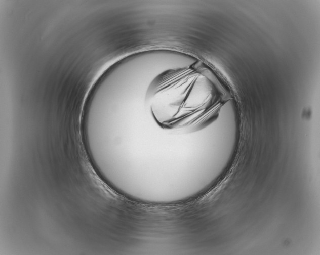 X0000089950932200707271837