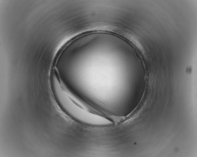 X0000089950936200707271837