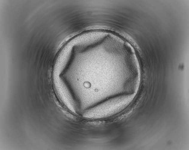 X0000089950937200707271837