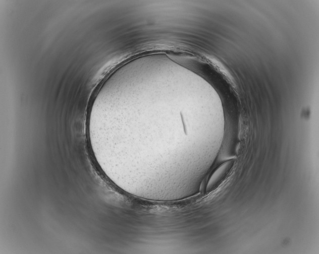 X0000089950938200707271837