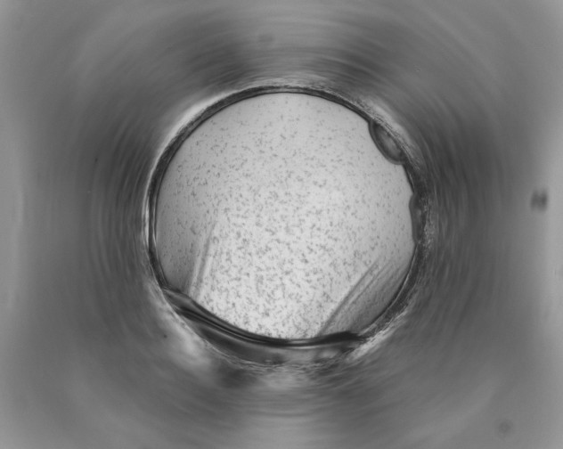 X0000089950940200707271837