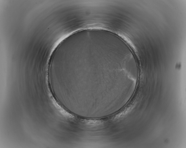 X0000089950941200707271837