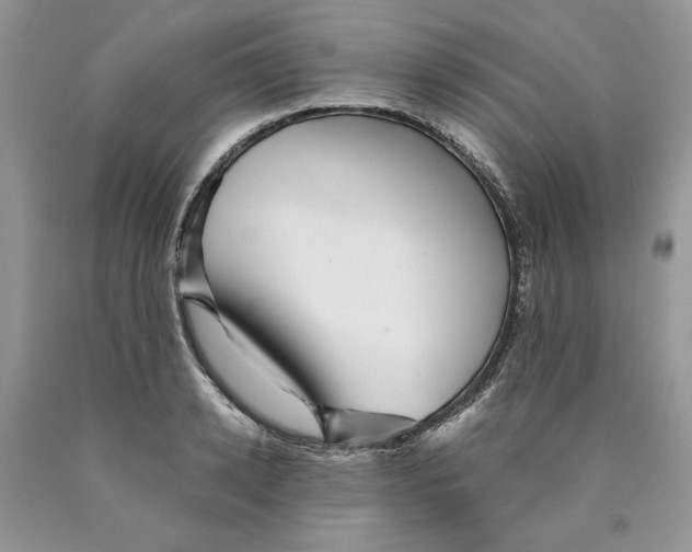 X0000089950942200707271837