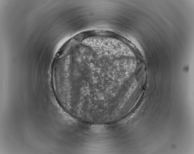 X0000089950944200707271837