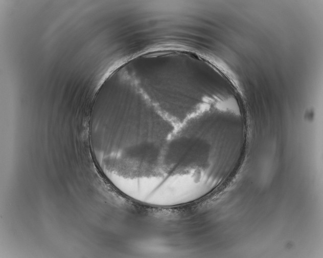 X0000089950945200707271837