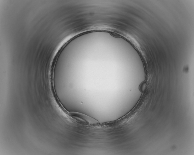 X0000089950947200707271837