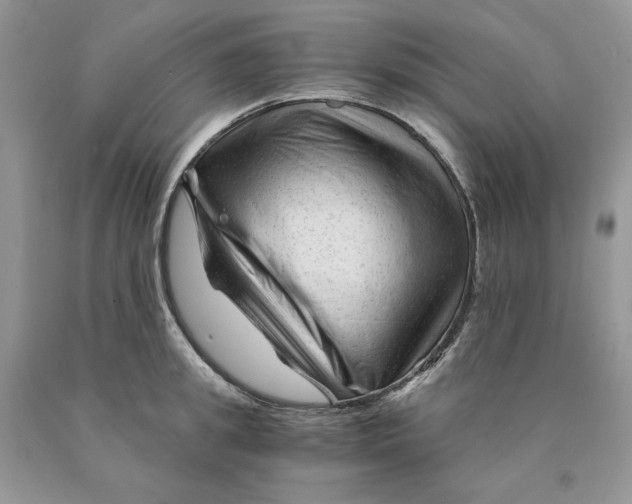 X0000089950949200707271837