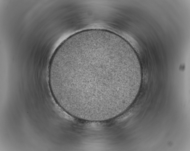 X0000089950950200707271837