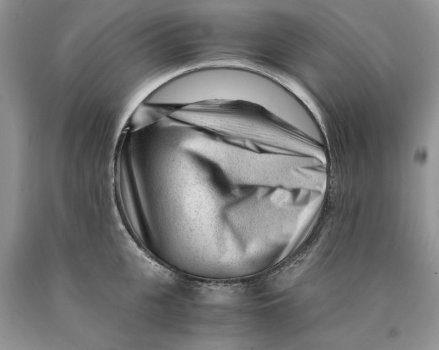 X0000089950951200707271837