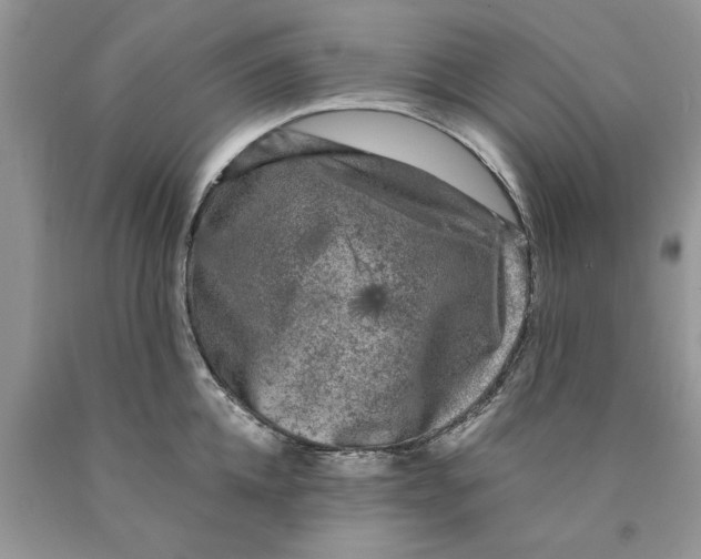 X0000089950952200707271837