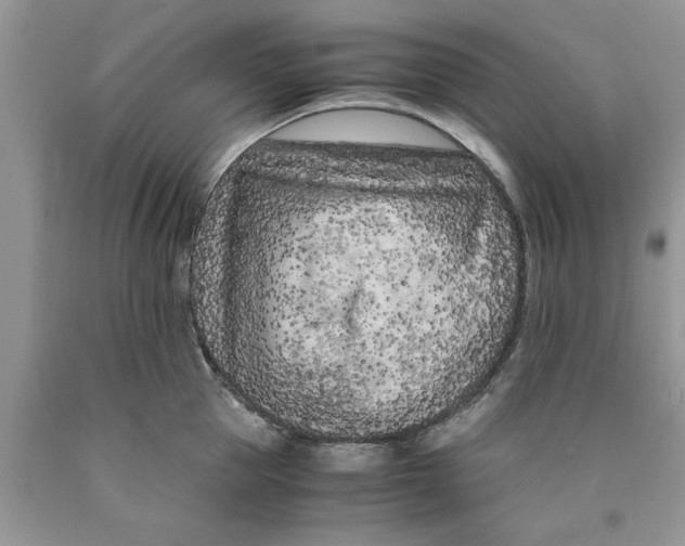 X0000089950953200707271837