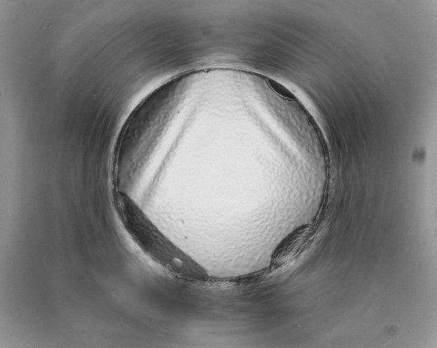 X0000089950957200707271837