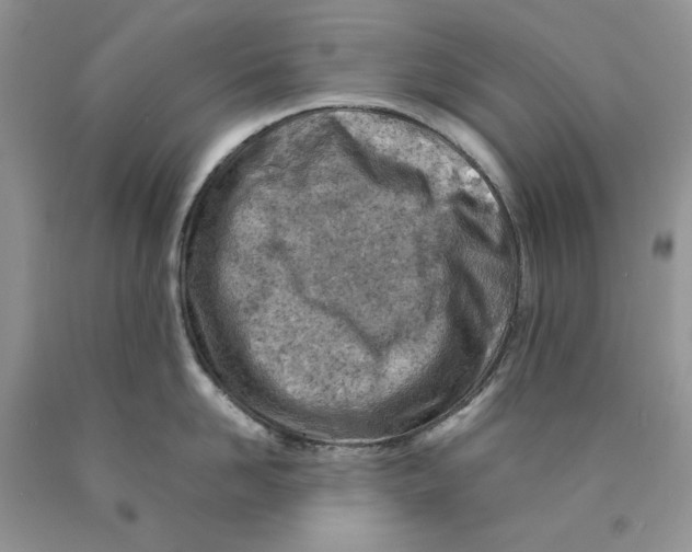 X0000089950958200707271837