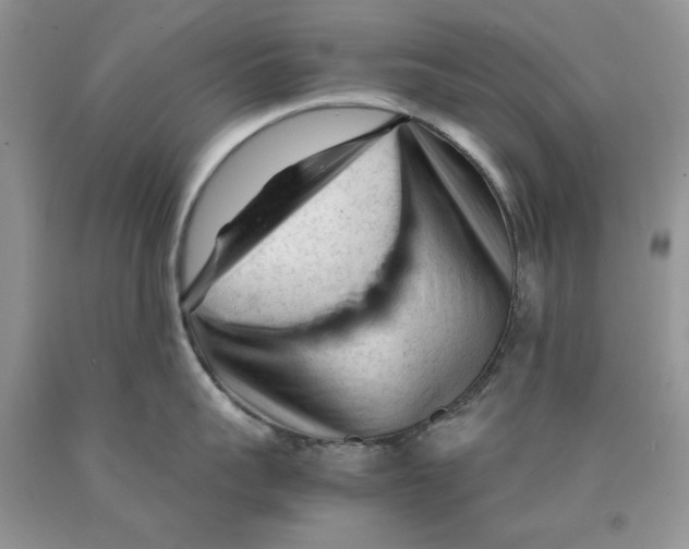 X0000089950959200707271837