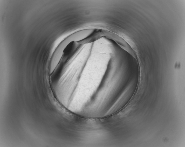 X0000089950960200707271837