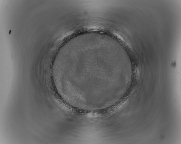 X0000089950961200707271836