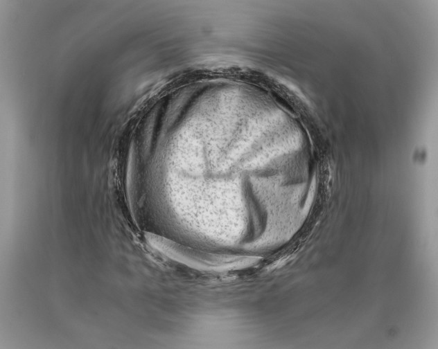 X0000089950965200707271836