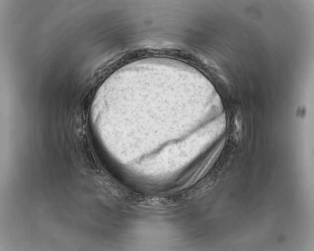 X0000089950966200707271836