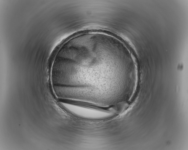 X0000089950973200707271836