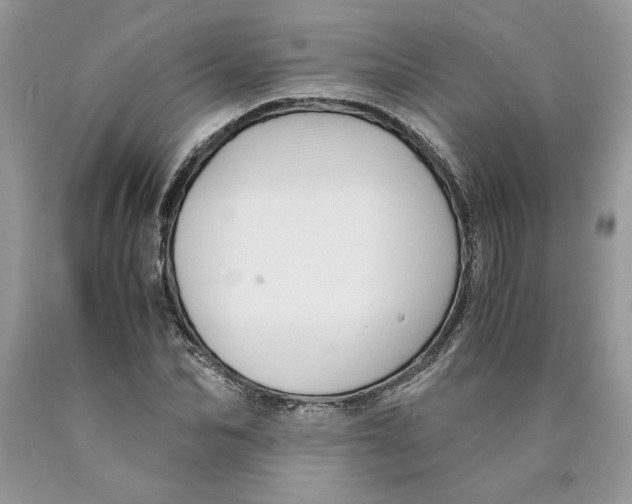 X0000089950974200707271836