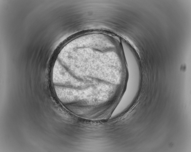 X0000089950975200707271836