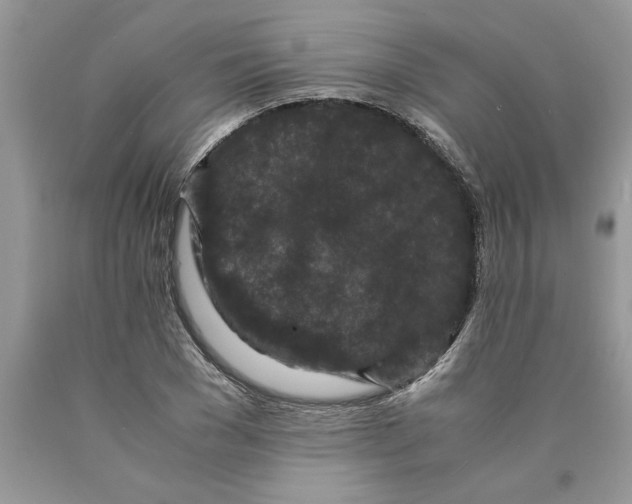 X0000089950977200707271836