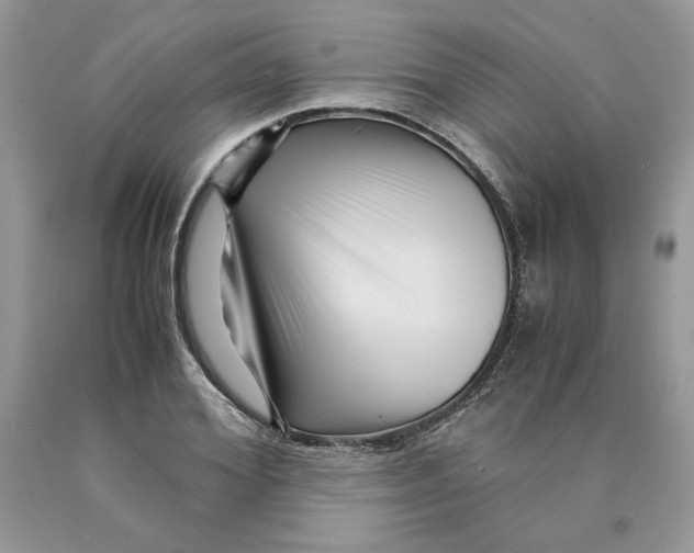 X0000089950980200707271836