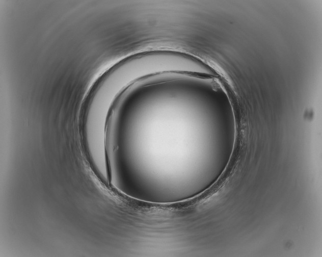 X0000089950981200707271836