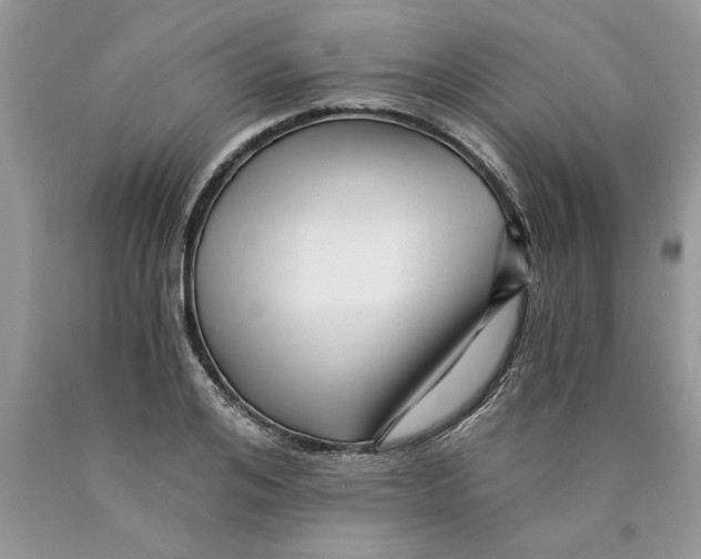 X0000089950984200707271836