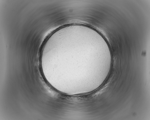 X0000089950987200707271836