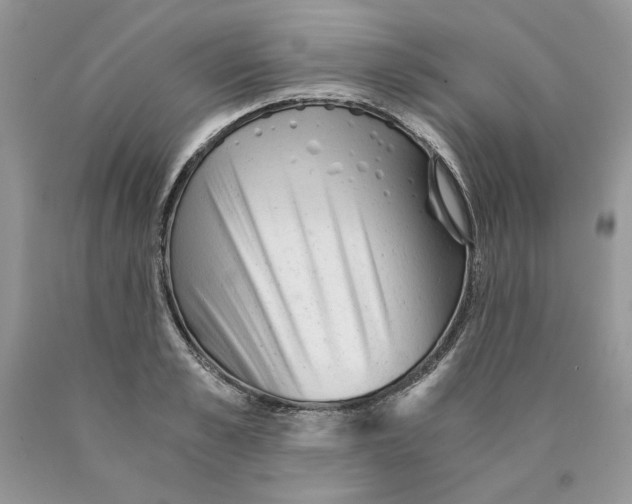 X0000089950989200707271836