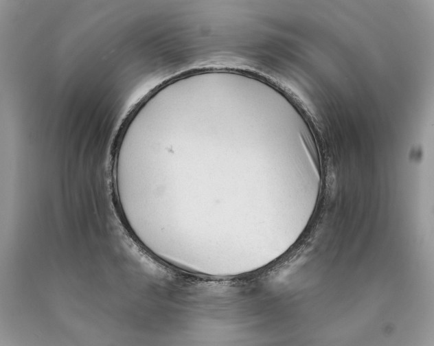 X0000089950990200707271836