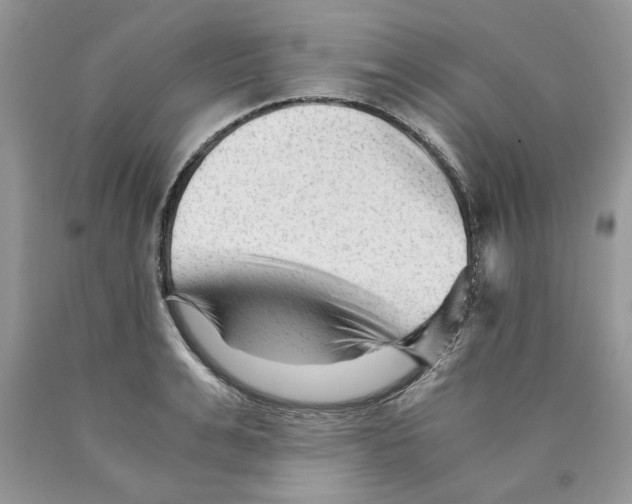 X0000089950991200707271836