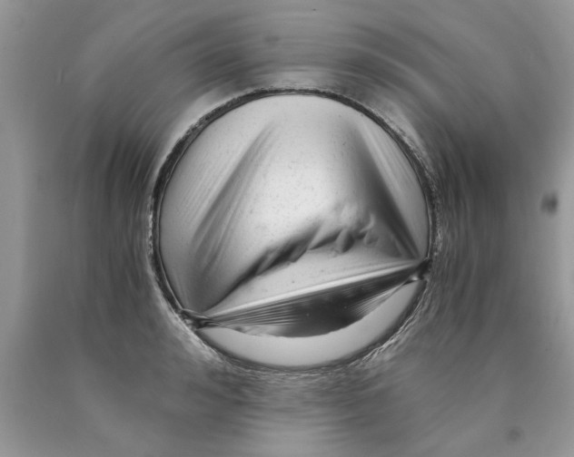 X0000089950992200707271836