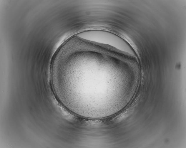 X0000089950994200707271836