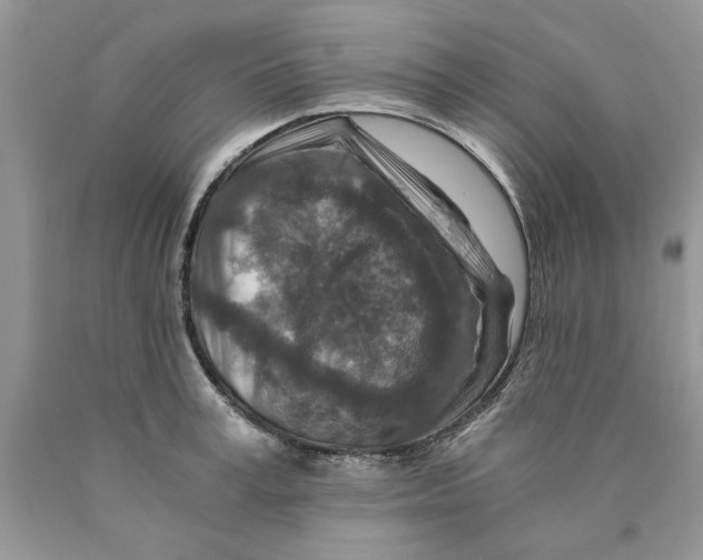 X0000089950995200707271836