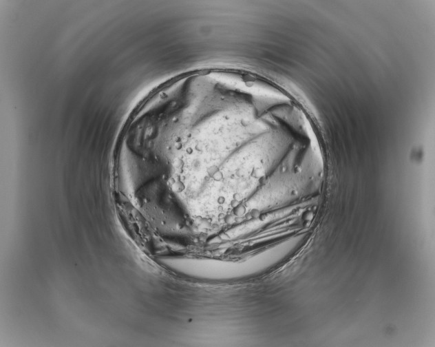 X0000089950996200707271836