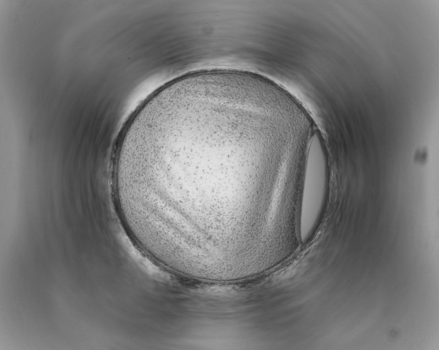 X0000089950998200707271836