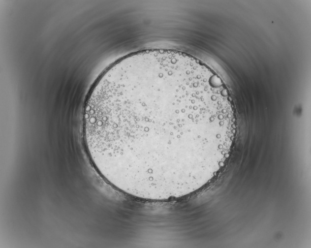 X0000089951000200707271836